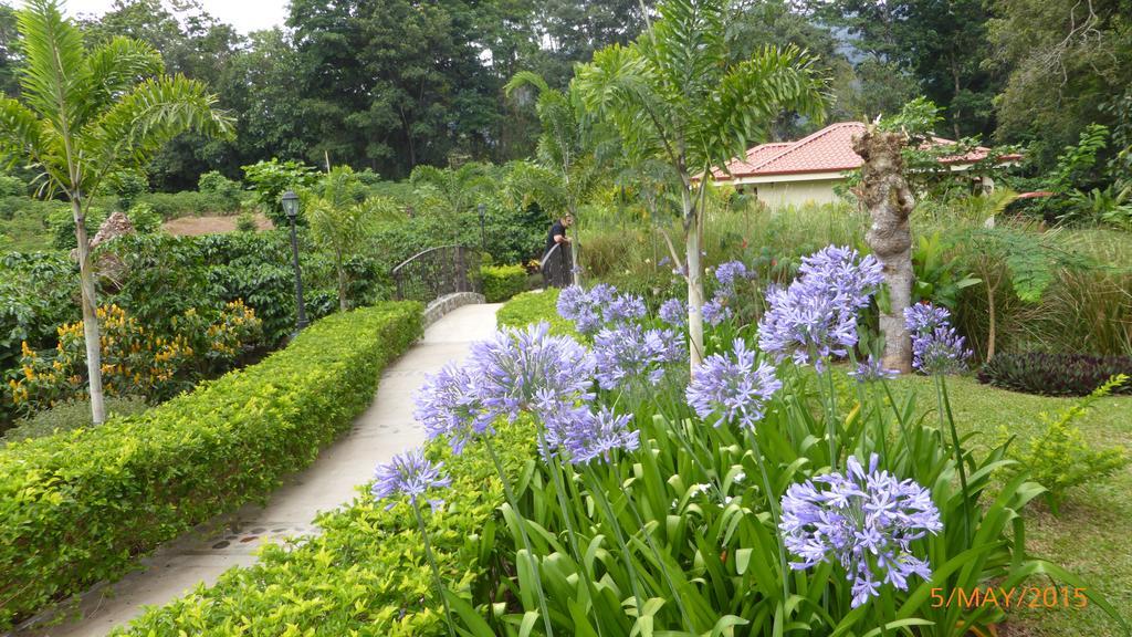 Hotel Boutique La Casona Del Cafetal Cachí Eksteriør billede